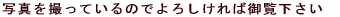 ʐ^BĂ̂ł낵Ό䗗
